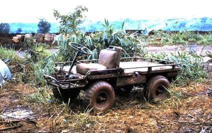 Vietnam Mule