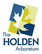 holdenarb.org